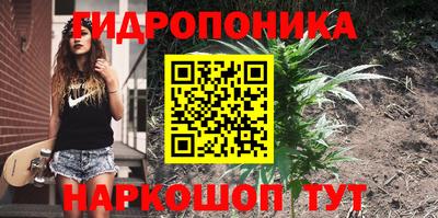 марихуана Аргун