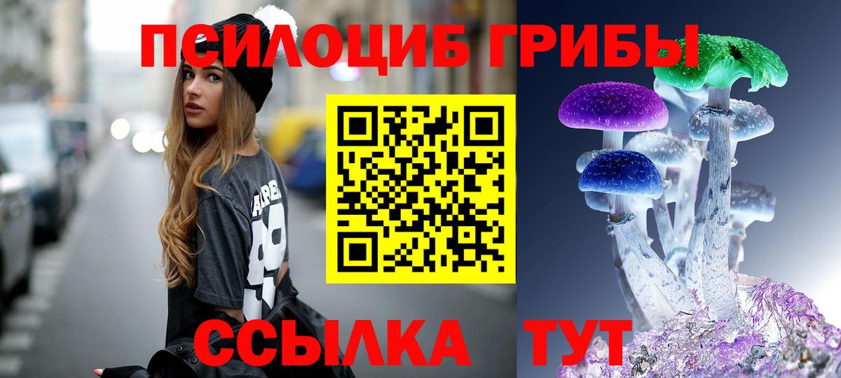 Галлюциногенные грибы Psilocybine cubensis Ачинск